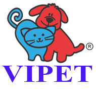 ViPet - Cửa hàng mua bán thú cưng, phụ kiện, spa thú cưng